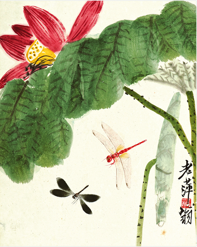 榻愮櫧鐭?鑽疯姳铚昏湏鎷疯礉.jpg